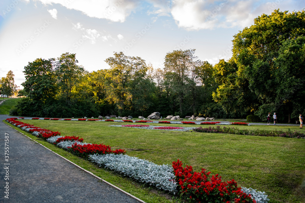 landscape in a city park in summer at sunset