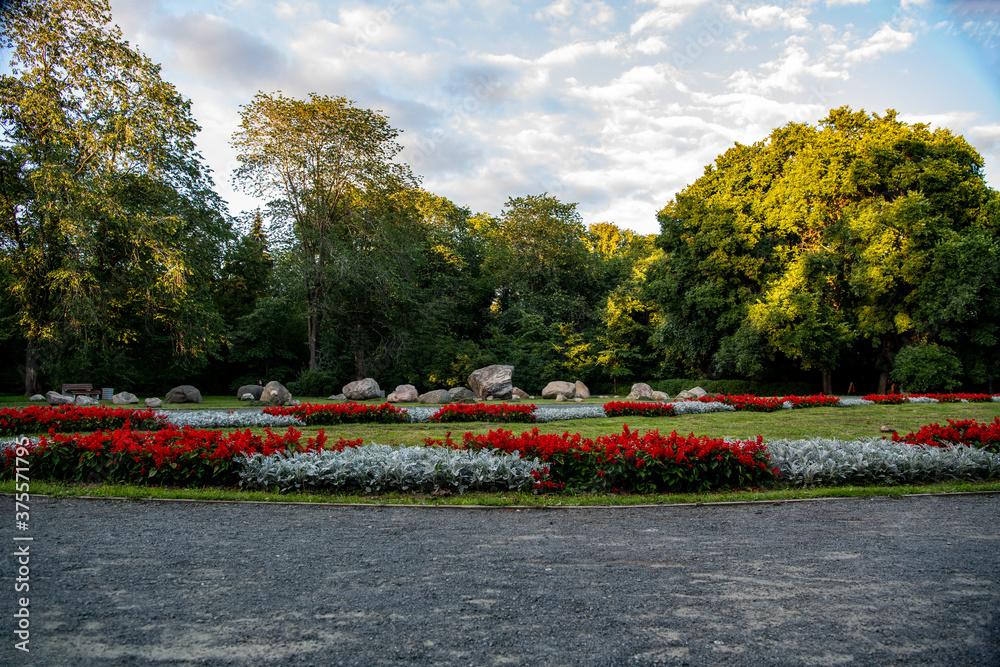 Obraz premium landscape in a city park in summer at sunset