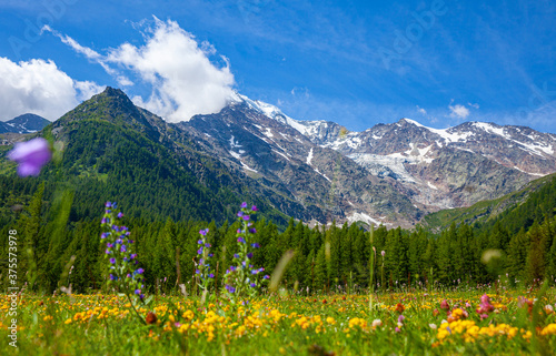 Picturesque highland alpine landscape on Simplon Pass at summer day