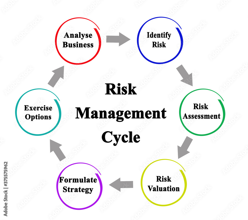 Components of Risk Management Cycle Components of Risk Management Cycle