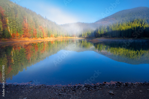mountain lake among the forest. trees in colorful foliage. beautiful landscape on a sunny autumn morning. blue sky reflecting in the water