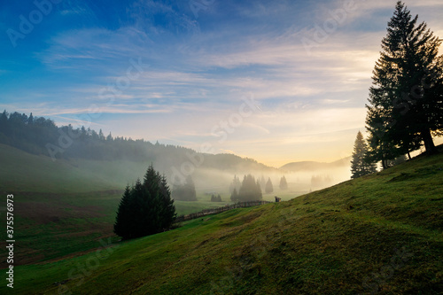 morning mist in apuseni natural park. valley full of fog at dawn. beautiful landscape of romania mountains in autumn. spruce trees on the hills. glowing clouds on the sky