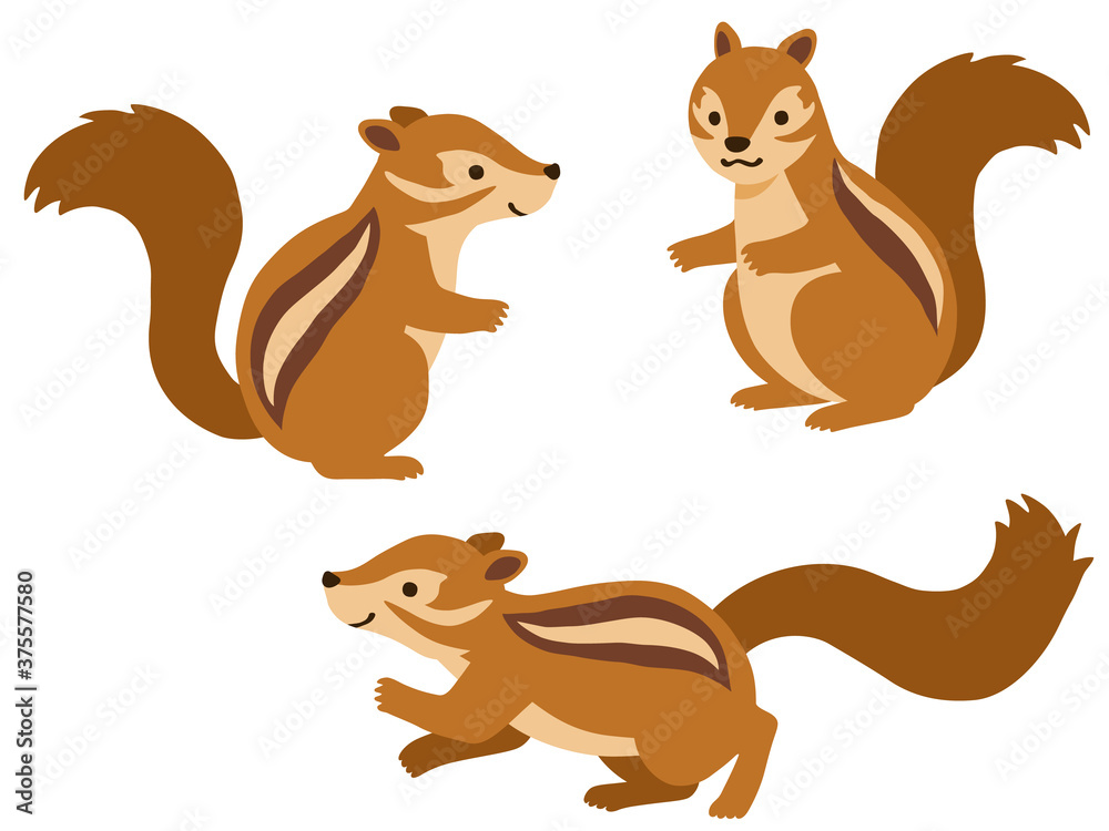 シマリスのイラストセット シマリスのイラストセット