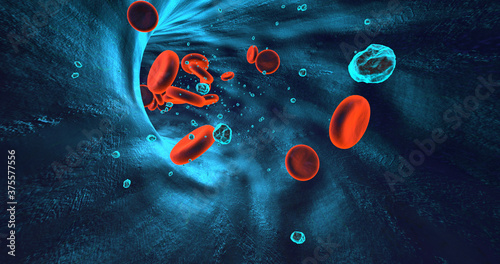 Human Red Blood Cells Flowing Inside Human Vein. 3D Illustration Render. Science And Health Related High Quality 3D Render.