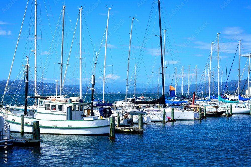 Sailing boats lined up at city centre marina in Wellington, New Zealand. Selective focus