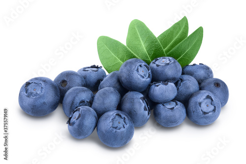fresh blueberry with leaves isolated on white background closeup. Clipping path and full depth of field