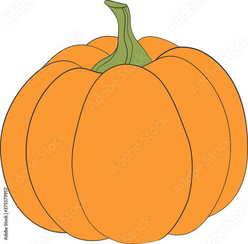 Pumpkin - squash for Halloween or Thanksgiving flat color icon for apps and websites