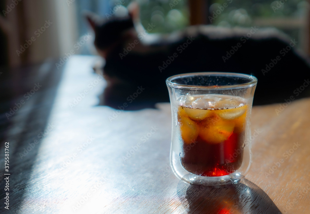 アイスコーヒーと猫 アイスコーヒーと猫