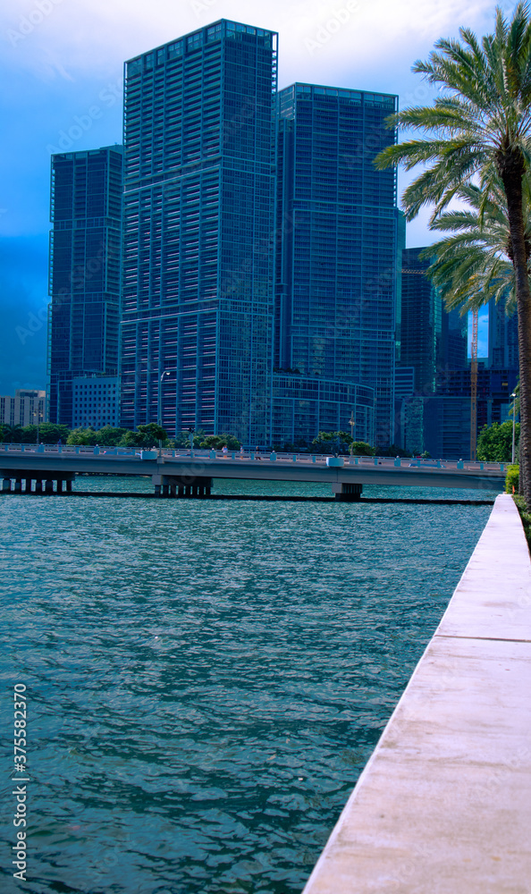 View of buildings in Brickell Miami next to the Brickell Key Drive Bridge,  Buildings  near palms trees and bridge in Brickell, Palm trees, bridge, and buildings next to the Miami South Channel, City