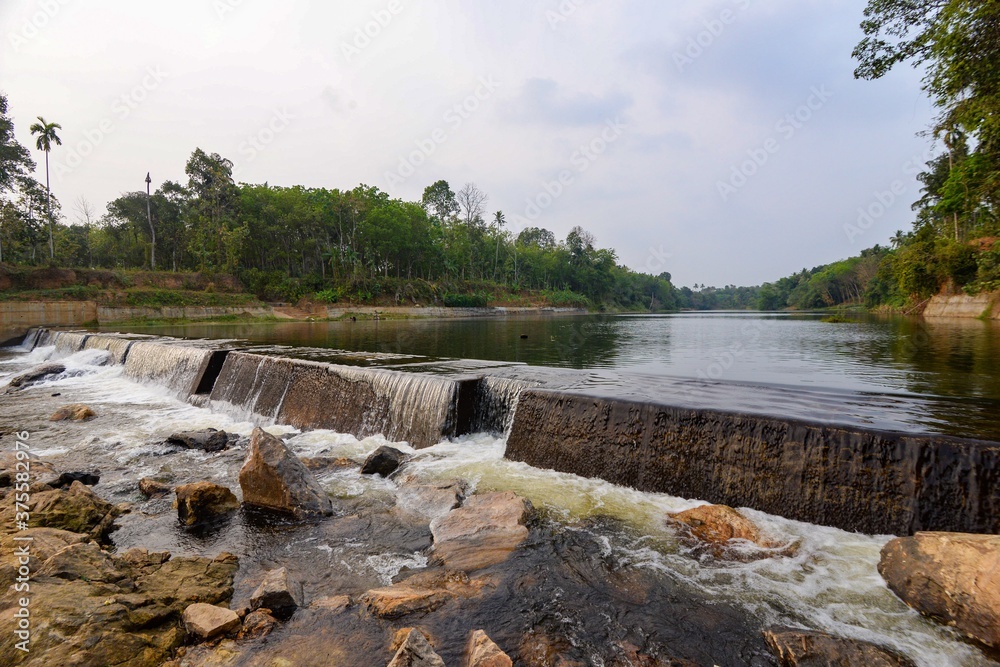 Obraz premium river in the forest