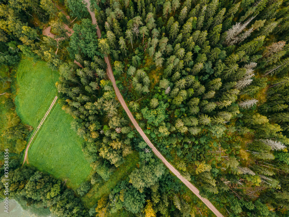 Aerial view to autumn classic Finnish landscape in Nuuksio national park