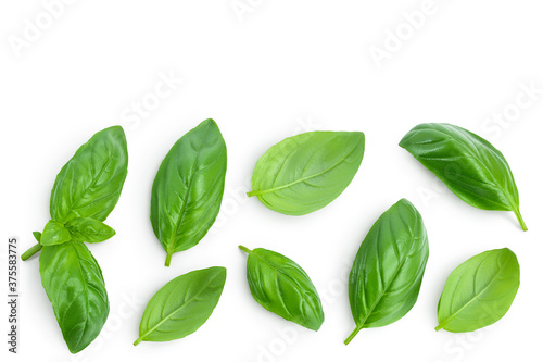 Fresh basil leaf isolated on white background with clipping path and full depth of field. Top view with copy space for your text. Flat lay