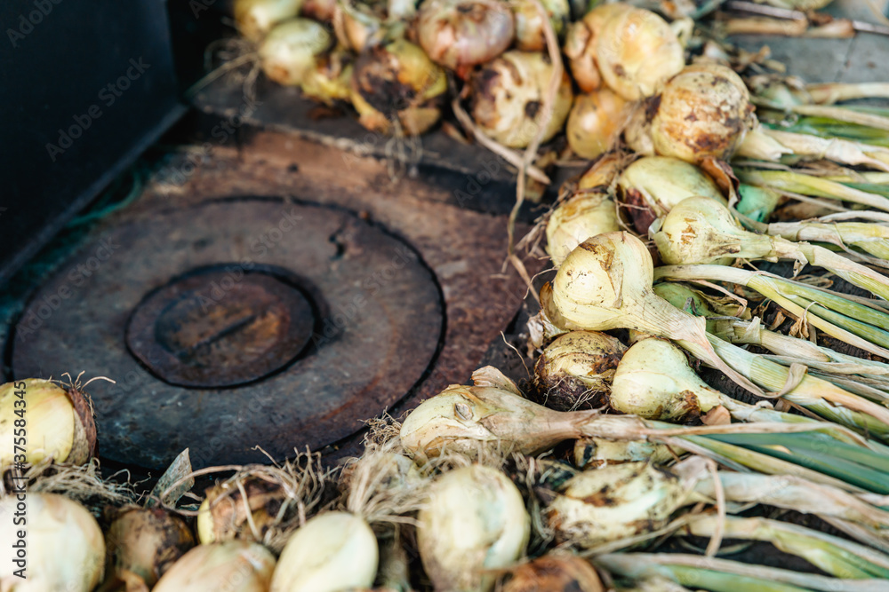 The onion crop is dried near the oven before being processed.