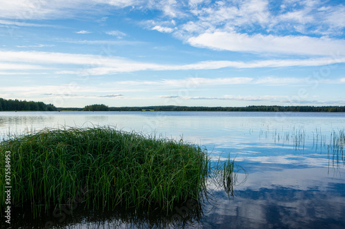 View of The Lake Onkivesi in summer  Maaninka  Kuopio  Finland