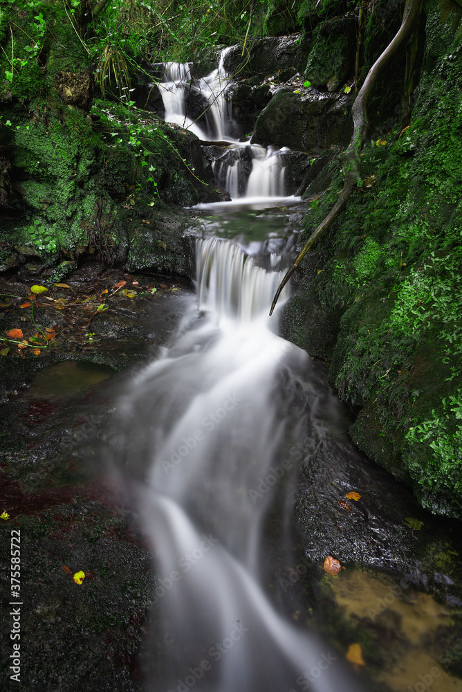 Naklejka premium cascade in asturias spain forest