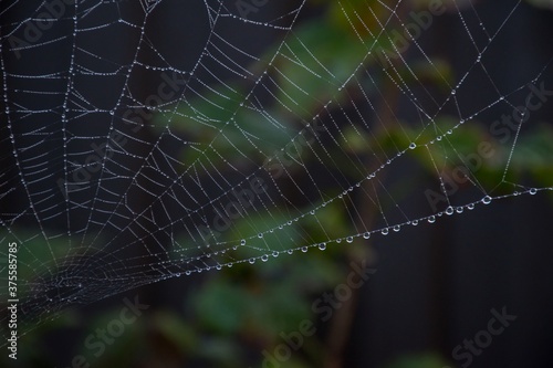 The web is woven by a spider. From the fog and light rain the cobweb is wet. Selective focus. Dark background.
