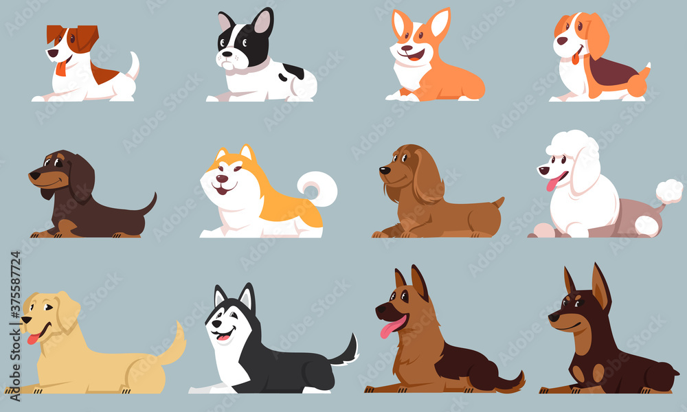 Obraz premium Lying dogs of different breeds. Big set of cute pets.