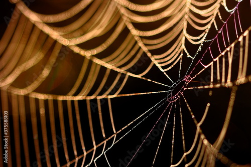 Close up of refracted light on spider web