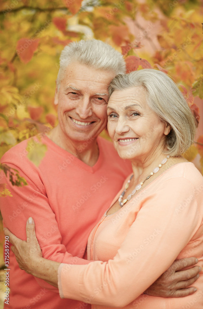 Beautiful senior couple hugging in the park Beautiful senior couple hugging in the park