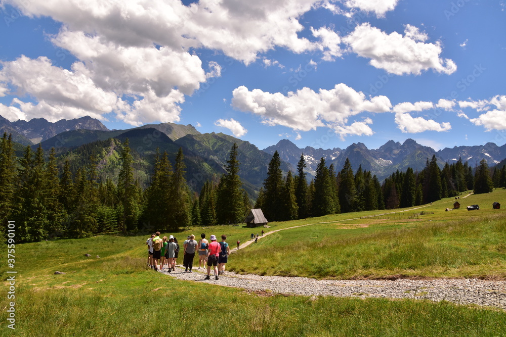 Fototapeta premium Rusinowa Polana Tatry lato Tatrzański Park Narodowy
