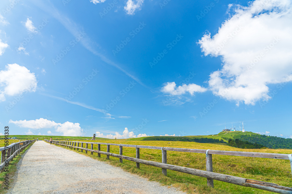 【長野県 美ヶ原】雲上の高原風景