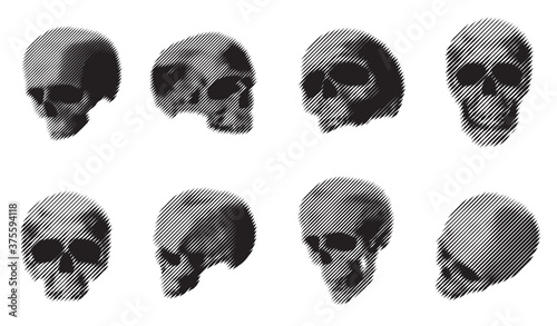 Collection vector silhouettes of human skulls in engraving monochrome line style. Isolated on white background. Design element for print, card, cover, poster.