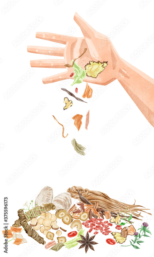 手のひらからこぼれ落ちる漢方生薬イラスト Stock Illustration Adobe Stock