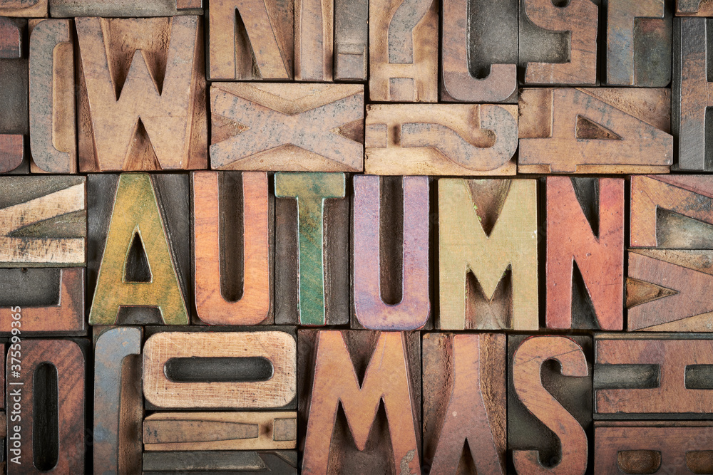 autumn word in letterpress printing blocks