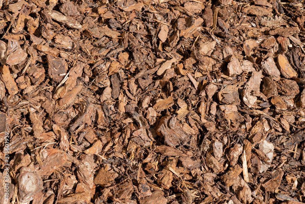 wood bark ground cover treatment to surpress weeds in the private  and public parks and gardens