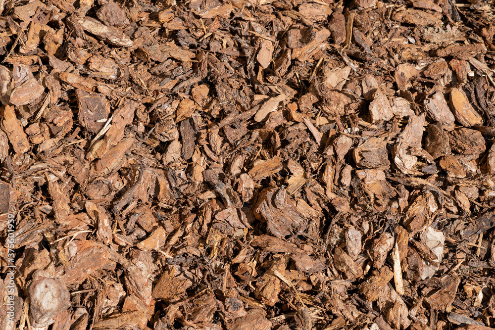 wood bark ground cover treatment to surpress weeds in the private and public parks and gardens wood bark ground cover treatment to surpress weeds in the private and public parks and gardens