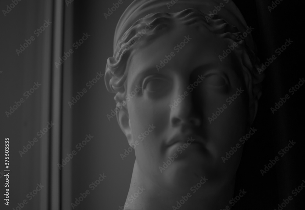 Ancient greek sculpture white plaster copy marble head of god diana in dark