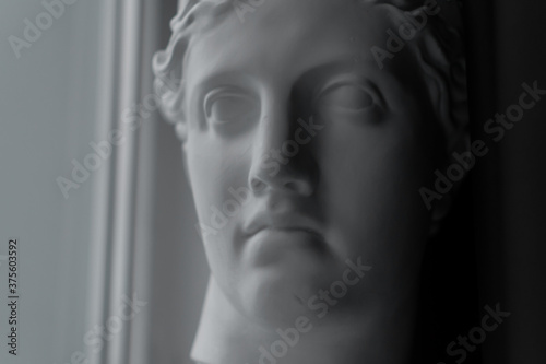 Ancient greek sculpture white plaster copy marble head of diana in light of window