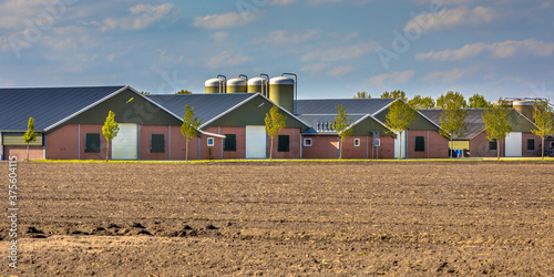 Εκτύπωση καμβά Large modern barns