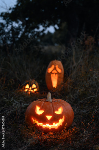 Three Glowing Halloween pumpkin in the forest at night. Vertical orientation, copy space.