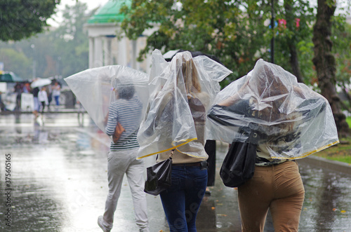 People in raincoats walk in the park on a rainy day