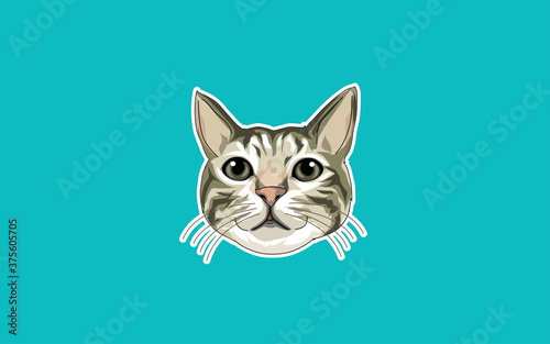 Cat head illustration with pastel background color © eMboo