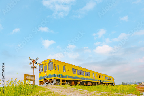 春の青空の下 走る１両の黄色い列車と踏切