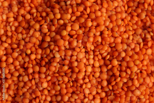 Red lentils closeup. Background with a lot of lentils. 