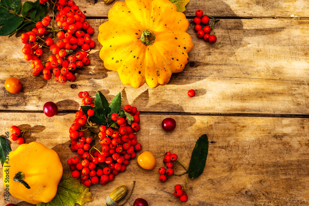 Fresh pumpkins, cherry plums, acorns and ripe rowan berries Fresh pumpkins, cherry plums, acorns and ripe rowan berries