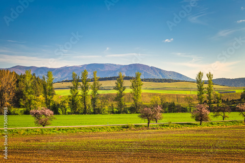 Rural landscape with mountains in the background. Turiec Region, Slovakia, Europe.