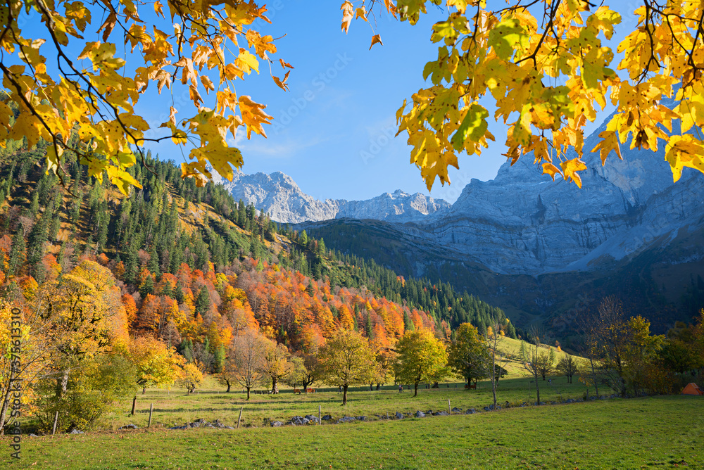 pictorial landscape karwendel valley Eng, branches with maple leaves