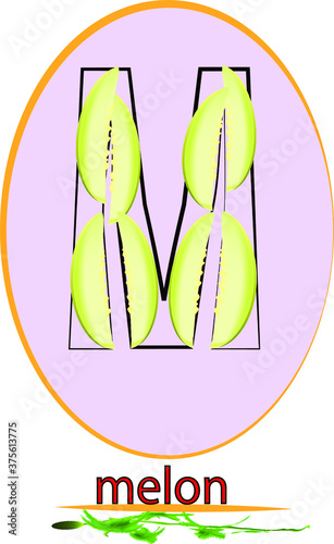 melon m