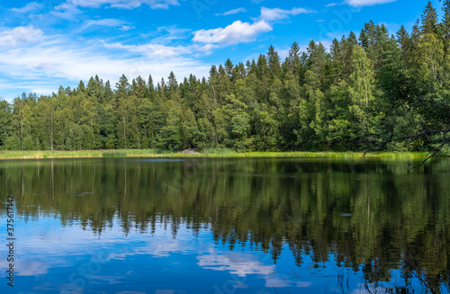 Forest lake with reflections in the water. Rows of trees grow on the banks of the lake and the blue sky is reflected on the surface of the water. Calm peaceful meditative tranquil landscape.
