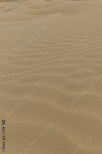 sand dune texture © Kristina