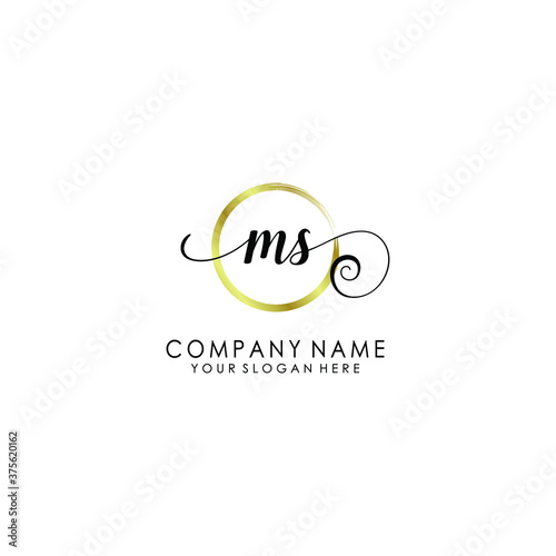 Fototapeta Naklejka Na Ścianę i Meble -  MS Initial handwriting logo template vector