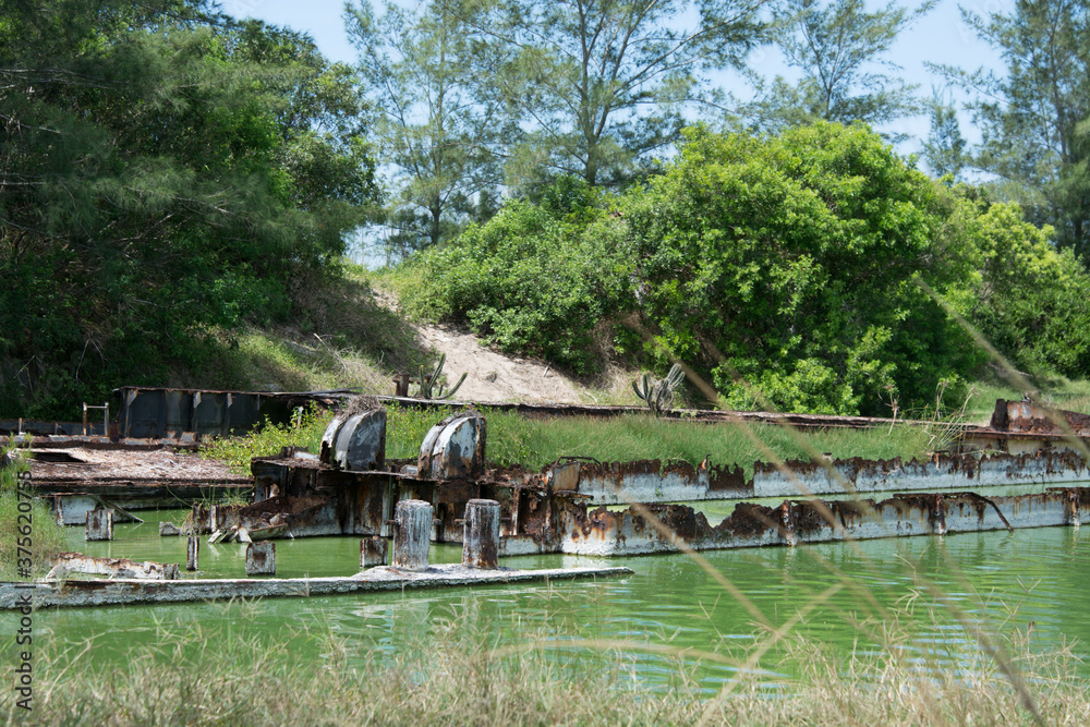 Fiddled and sunken skeleton of shell barge Fiddled and sunken skeleton of shell barge