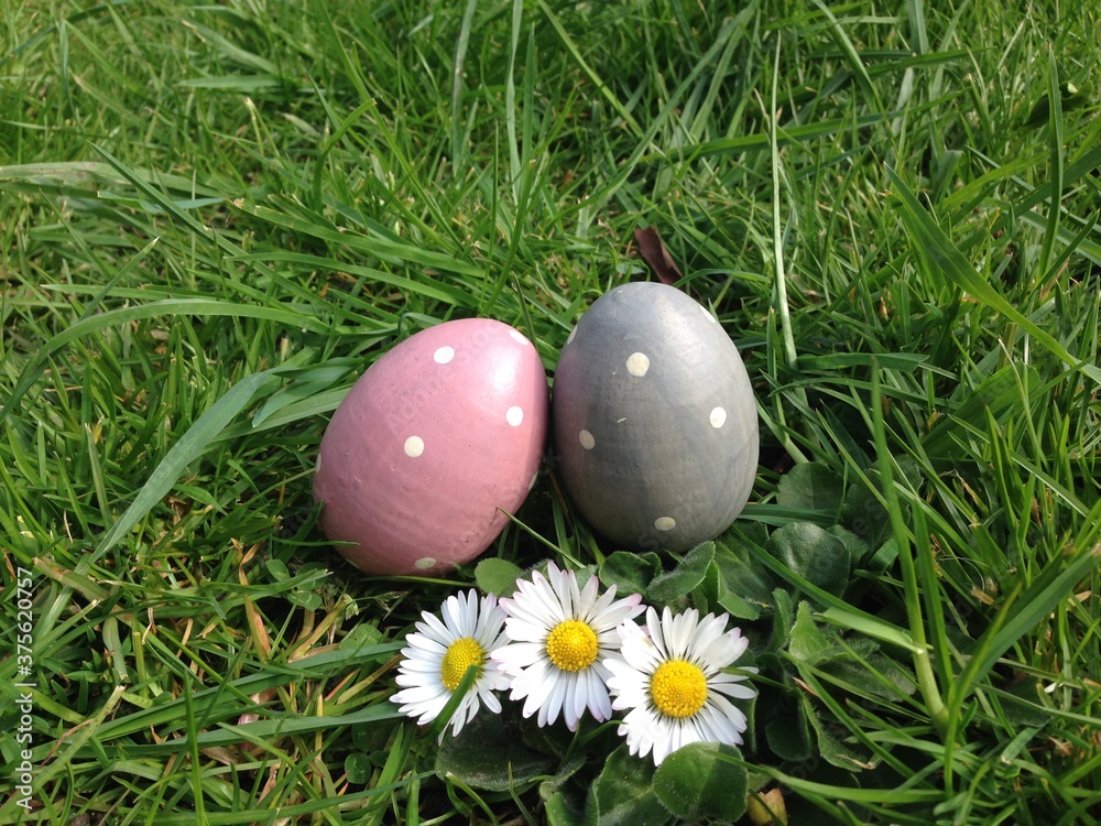 Easter egg hunt eggs in grass with daisys