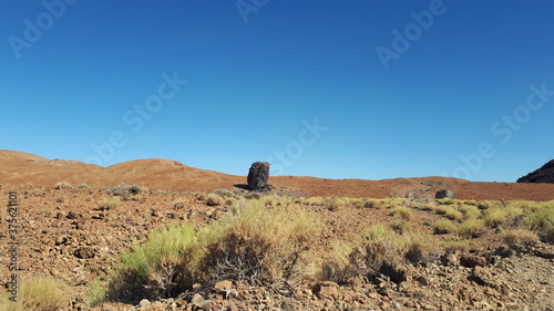 Stone called volcanic egg on the Teide volcano. Canary Islands.