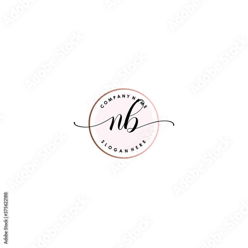 NB Initial handwriting logo template vector