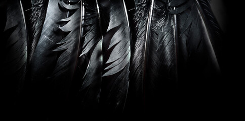 Halloween background with black raven feathers on dark grunge backdrop. Horror gothic abstract design with copyspace.